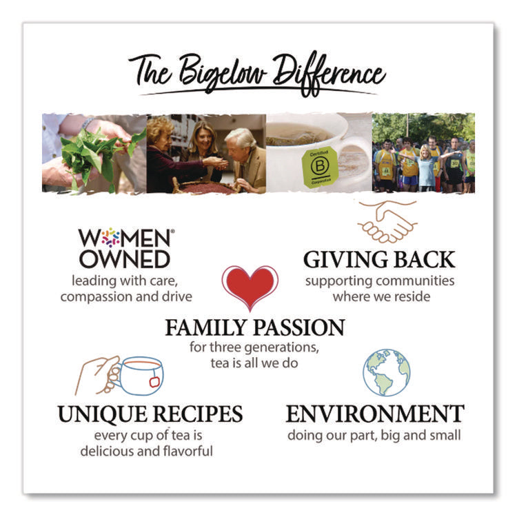 steep Cafe Organic Green Tea, Tropical, 50 Bags/Carton