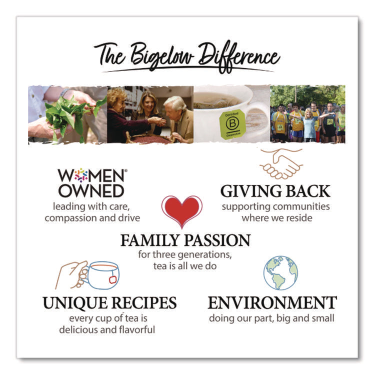 steep Cafe Organic Black Tea, English Breakfast, 50 Bags/Carton