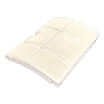 Replacement Exhaust Filter