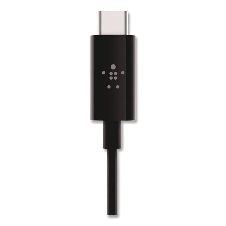 RockStar 3.5mm Audio Cable with USB-C Connector, 3 ft, Black