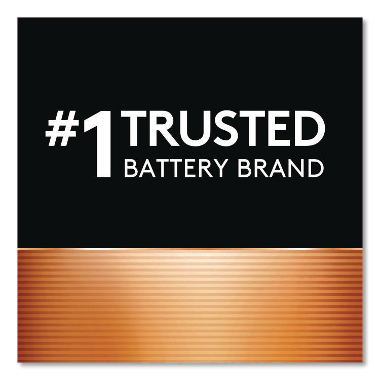 Hearing Aid Battery, #10, 16/pack