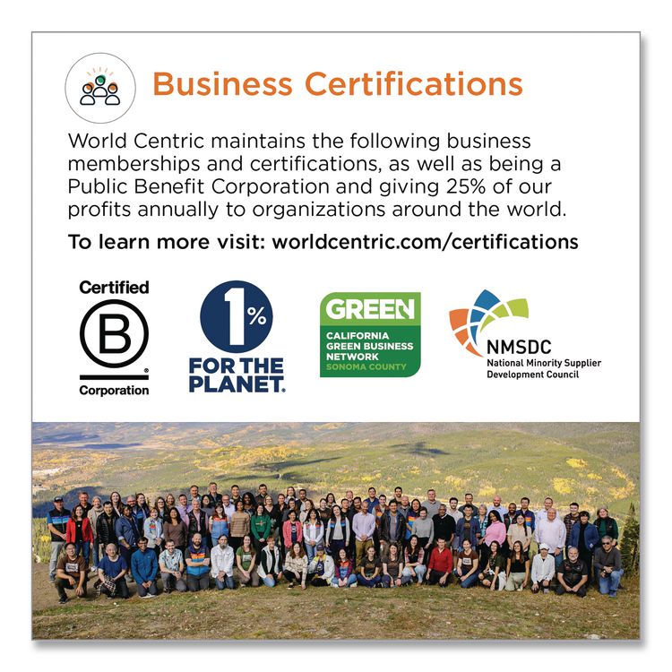 Notree Paper Hot Cups, 10 Oz, Natural, 1,000/carton