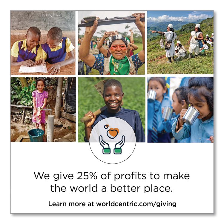 Notree Paper Hot Cups, 10 Oz, Natural, 1,000/carton