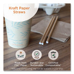 Sustainable Kraft Paper Straws, Wrapped, 8", Natural, 6,000/carton