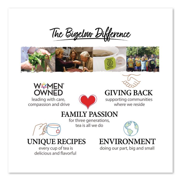 Single Flavor Tea, Premium Ceylon, 100 Bags/box