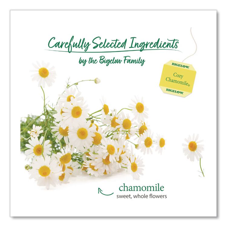 Single Flavor Tea, Cozy Chamomile, 28 Bags/box
