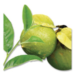 Earl Grey Black Tea, 28/box