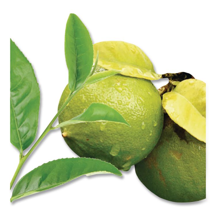 Steep Tea, Earl Grey, 1.28 Oz Tea Bag, 20/box