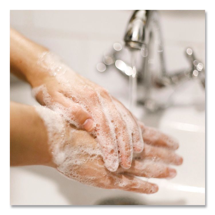 Basics Hypoallergenic Foaming Hand Wash, Honeysuckle Scent, 7.5 oz