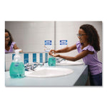 Basics Hypoallergenic Foaming Hand Wash, Honeysuckle Scent, 7.5 oz