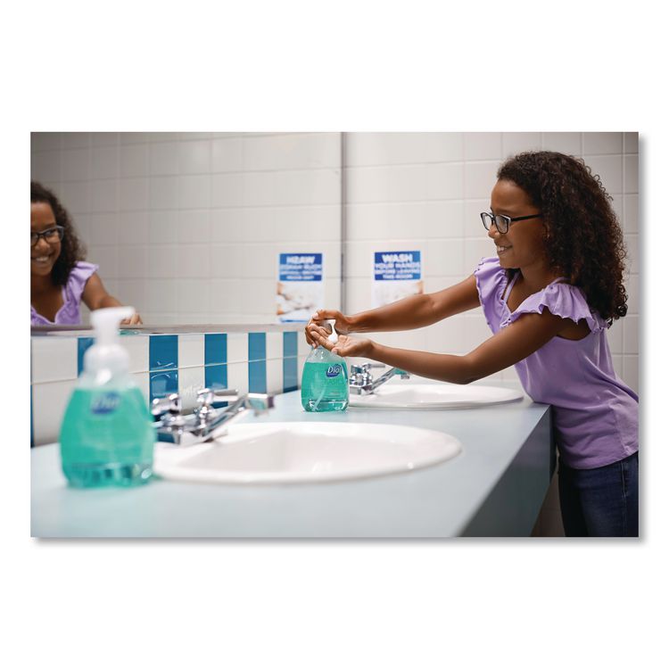 Basics Hypoallergenic Foaming Hand Wash, Honeysuckle Scent, 15.2 oz, 4/Carton