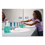 Basics Hypoallergenic Foaming Hand Wash, Honeysuckle Scent, 15.2 oz