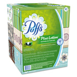 Plus Lotion Facial Tissue, 2-Ply, White, 124 Sheets/box, 6 Boxes/pack, 4 Packs/carton