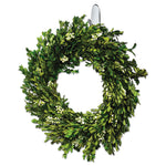 Clear Hooks and Strips, Medium, Plastic, 2 lb Capacity, 2 Hooks and 4 Strips/Pack