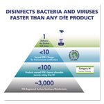 Foodservice Surface Sanitizer, Fragrance Free, 1 Gal Bottle