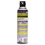 Wasp and Hornet Killer, 14 oz Aerosol Spray