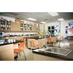 M-Dura Single Lever Handle Deck Mount Lab Faucet in Polished Chrome