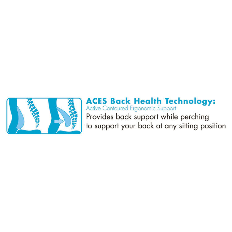 Cosset Ergonomic Task Chair, Supports Up To 275 Lb, 19.5" To 22.5" Seat Height, Gray Seat/back, Black Base