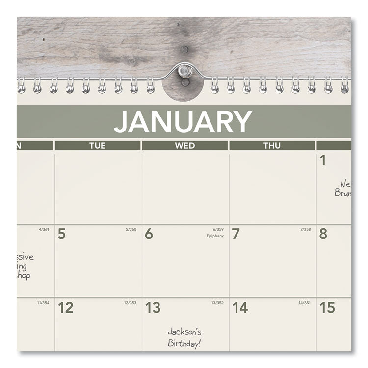 Recycled Wall Calendar, Unruled Blocks, 15 x 12, Sand/Green Sheets, 12-Month (Jan to Dec): 2025