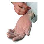 V5101 Series Latex-Free Lightly Powdered Vinyl Gloves, Large, 3 mil Thick, 9" Long, Clear, 100/Box