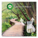 Scented Oil Warmer, 1.75" x 2.69" x 3.63", White, 6/Carton