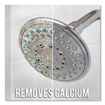 Lime, Calcium and Rust Remover, 28 oz Bottle, 6/Carton