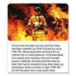 Fire D One Shot Aerosol, 5 Oz Aerosol Spray, 12/carton