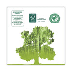 Premium Kitchen Roll Towels, 2-Ply, 11 x 6, White, 110/Roll, 12 Rolls/Carton