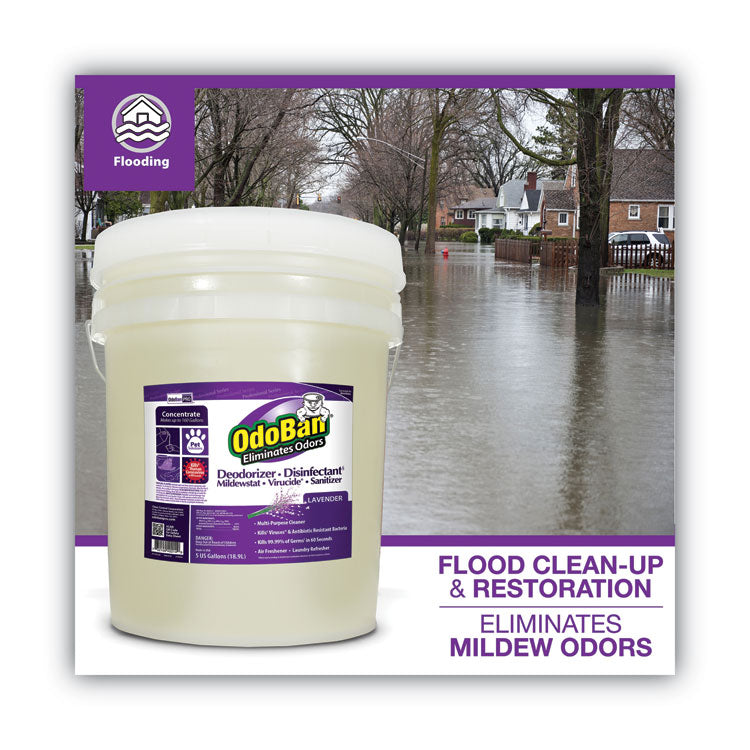 Concentrated Odor Eliminator And Disinfectant, Lavender Scent, 5 Gal Pail