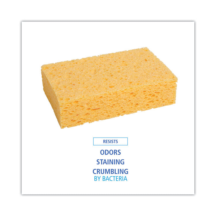 Medium Cellulose Sponge, 3.67 X 6.08, 1.55" Thick, Yellow, 24/carton