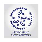 Prime Defense Advanced 85% Alcohol Gel Hand Sanitizer, 12 Oz Pump Bottle, Clean Scent