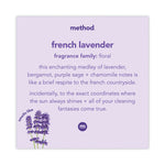 Foaming Hand Wash, French Lavender Scent, 10 oz