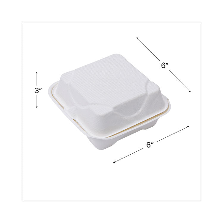 Molded Fiber Hinged Clamshell Containers, 6 x 6 x 3, White, Sugarcane, 50/Pack, 10 Packs/Carton