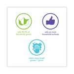 Antibac All-Purpose Cleaner, Wildflower, 28 Oz Spray Bottle