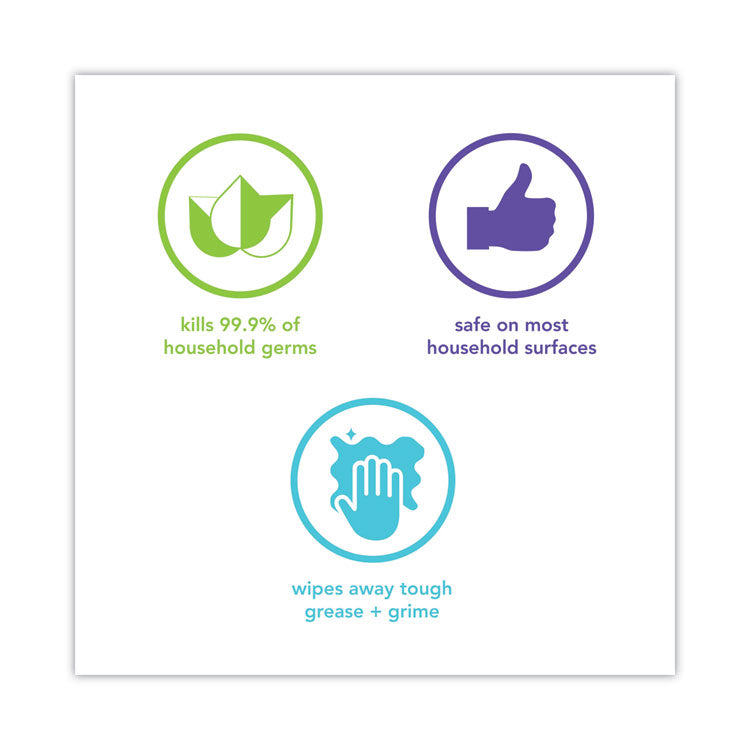 Antibac All-Purpose Cleaner, Wildflower, 28 Oz Spray Bottle