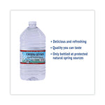 Alpine Spring Water, 1 Gal Bottle, 6/Carton