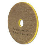 Clean and Shine Pad, 14" Diameter, Brown/Yellow, 5/Carton