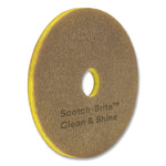Clean and Shine Pad, 14" Diameter, Brown/Yellow, 5/Carton