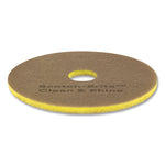 Clean and Shine Pad, 14" Diameter, Brown/Yellow, 5/Carton