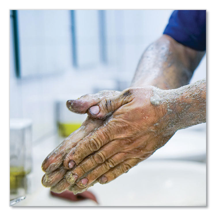 HD Orange Hand Cleaner Refill for Triton Dispensers, Citrus Zest Scent, 2 L, 6/Carton