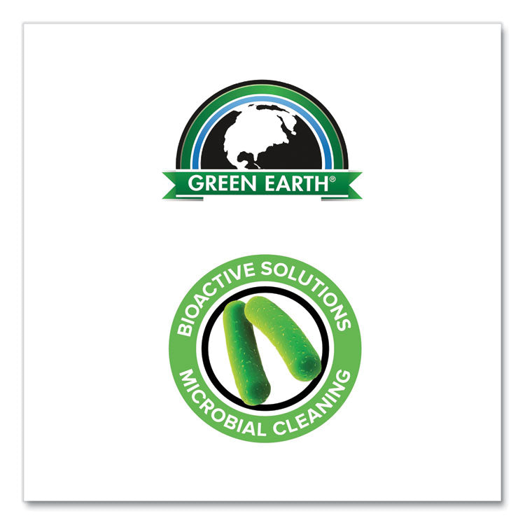 Green Earth Garbage Disposal Cleaner, Fruity Scent, 2 oz Packet, 30/Carton