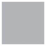 Permanent Paint Marker, Fine Bullet Tip, Silver