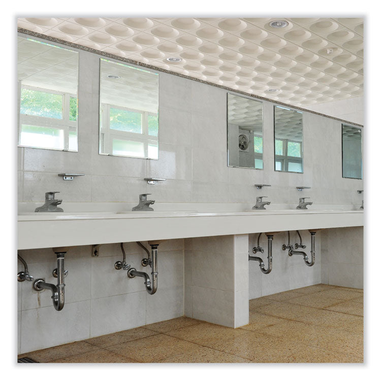 Btb Mildew Stain Remover, Apple, 32 Oz Spray Bottle, 12/carton