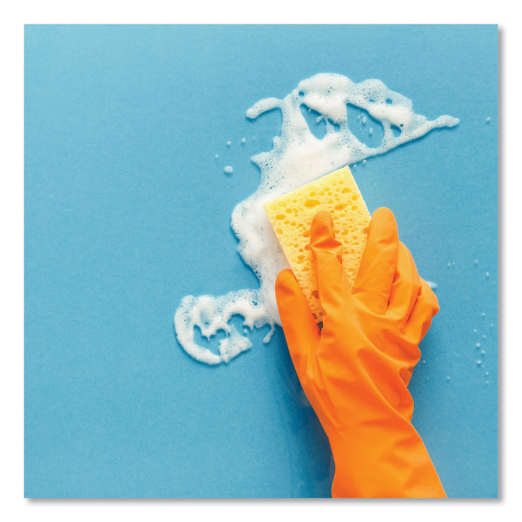 Forest 5 Foaming Cleaner, Mint Scent, 32 oz Bottle, 12/Carton