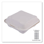Molded Fiber Hinged Clamshell Containers, 8 x 8 x 3, White, Sugarcane, 200/Carton