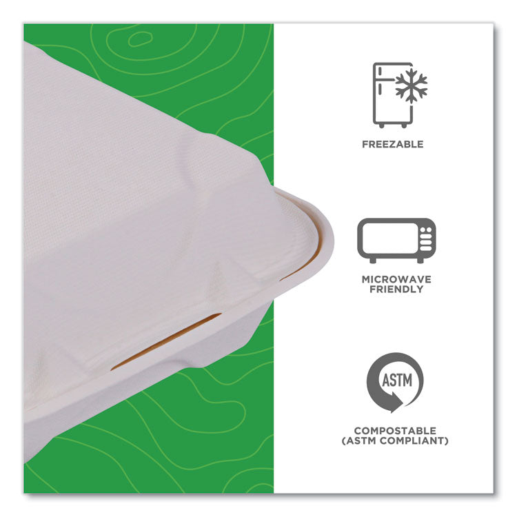 Molded Fiber Hinged Clamshell Containers, 8 x 8 x 3, White, Sugarcane, 200/Carton