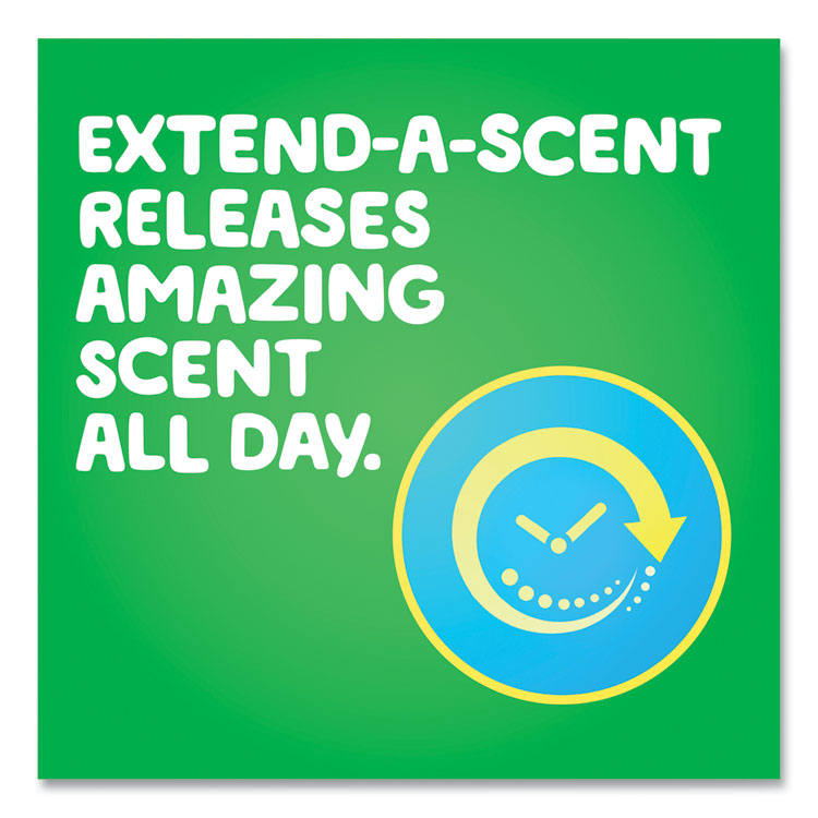 Flings Detergent Pods, Original, 76 Pods/Tub