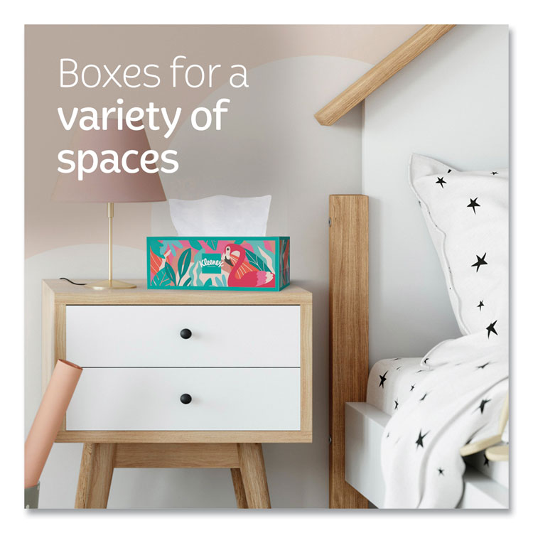 Trusted Care Facial Tissue, 2-Ply, White, 160 Sheets/Box, 3 Boxes/Pack, 12 Packs/Carton