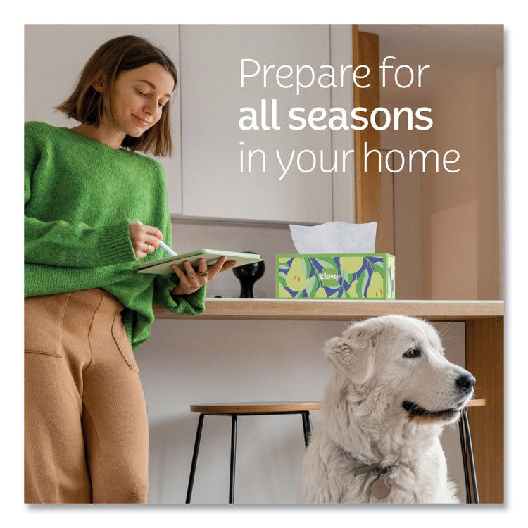 Trusted Care Facial Tissue, 2-Ply, White, 160 Sheets/Box, 3 Boxes/Pack, 12 Packs/Carton