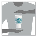 Horizon Hot/Cold Foam Drinking Cups, 32 oz, White/Teal, 16/Bag, 25 Bags/Carton